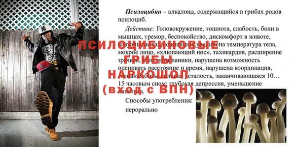PSILOCYBIN Михайловск