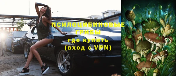 PSILOCYBIN Михайловск
