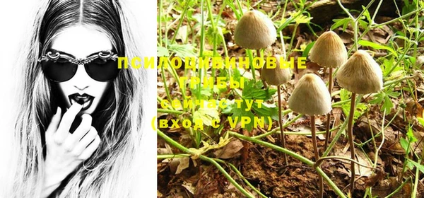 PSILOCYBIN Михайловск