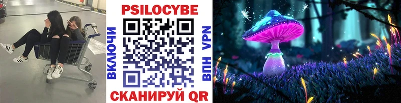Псилоцибиновые грибы Cubensis  Купить где  Анадырь 